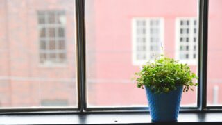 準備ゼロ・自動採点！高次脳機能評価ツール